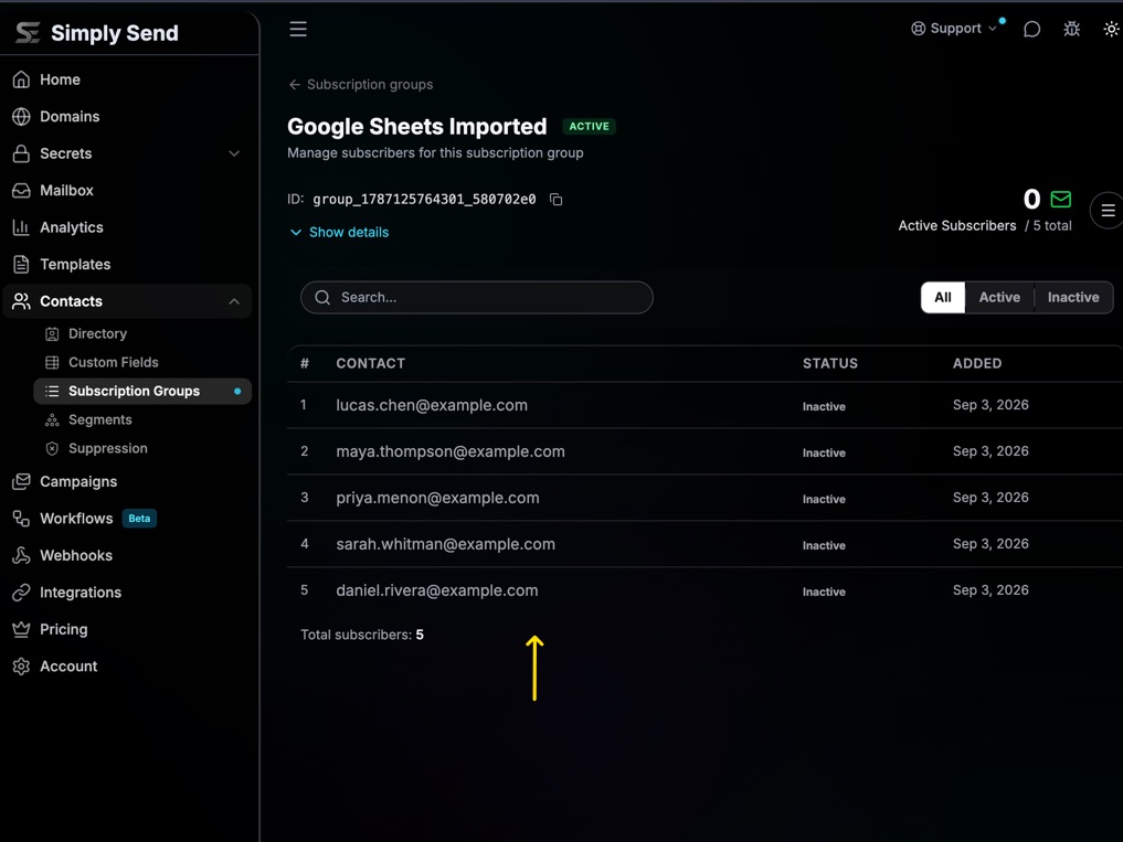 Google Sheets setup step 5: Verify the imported audience